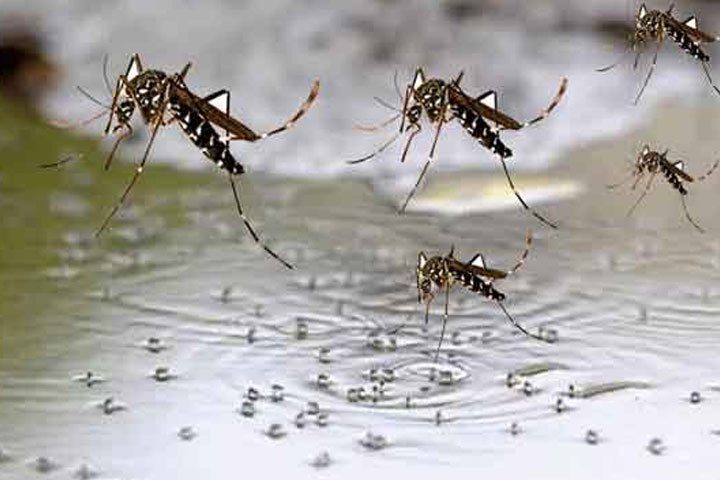 بولان میں بارشوں کے بعد مچھروں کی یلغار سے وبائی امراض پھوٹ پڑے،  انتظامیہ اور محکمہ صحت کی غفلت نے عوام کو بیماریوں کے رحم و کرم پر چھوڑ دیا