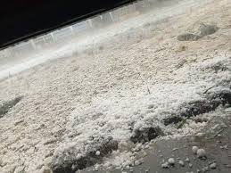 تباہ کن ژالہ باری سے قلعہ سیف اللہ میں باغات اور فصلیں ملیامیٹ، زمینداروں کا اربوں کا نقصان، حکومت کی جانب سے امدادی کارروائیوں اور سروے میں تاخیر پر تشویش