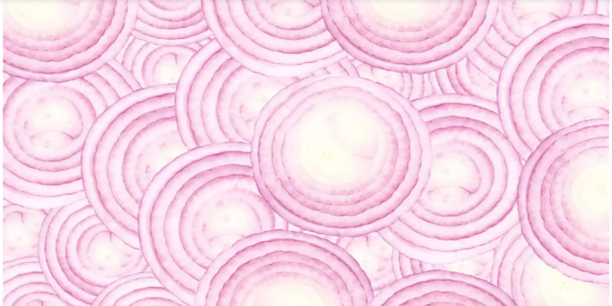 25 1 11